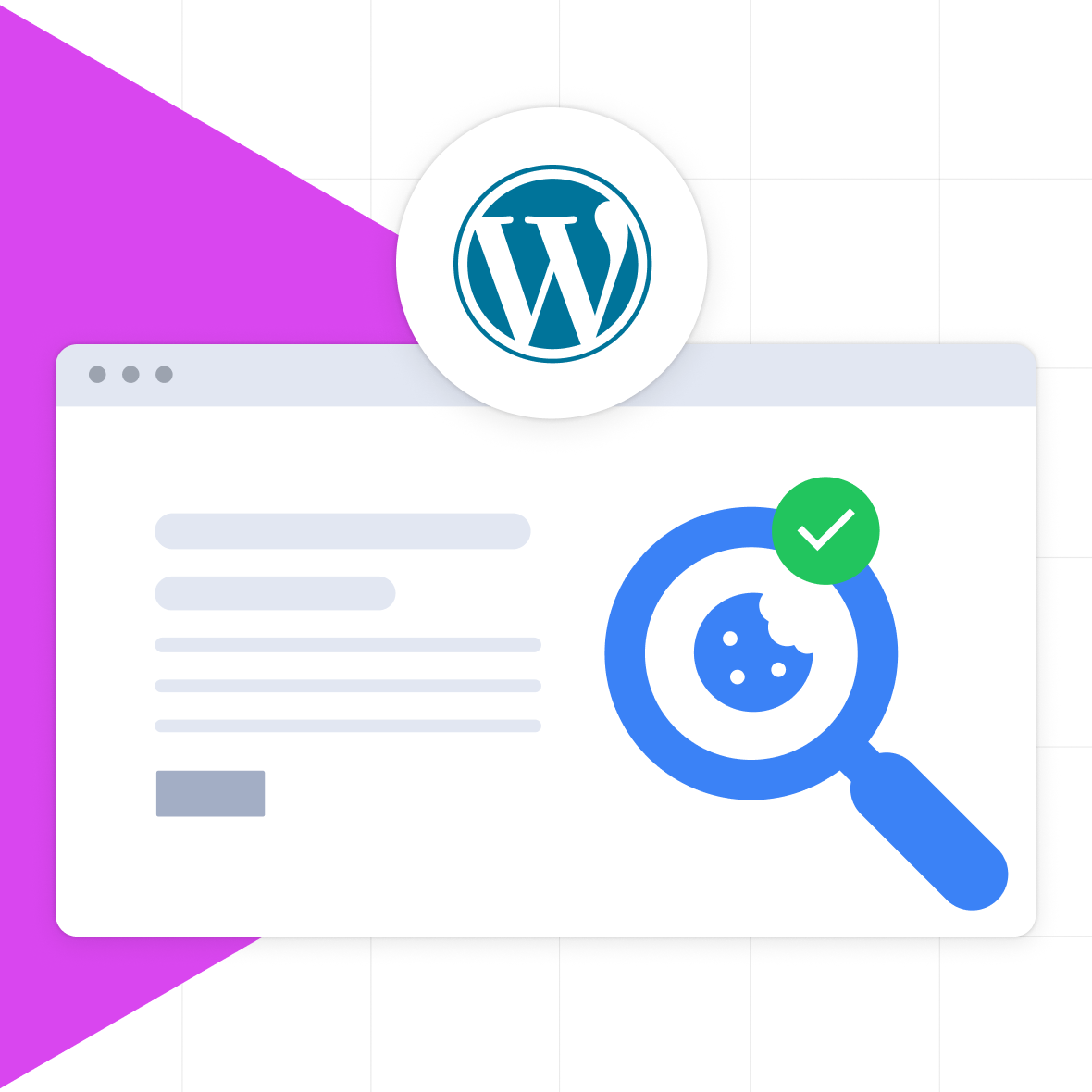 Manage All Your Site Scripts and Custom Code Snippets in One Place