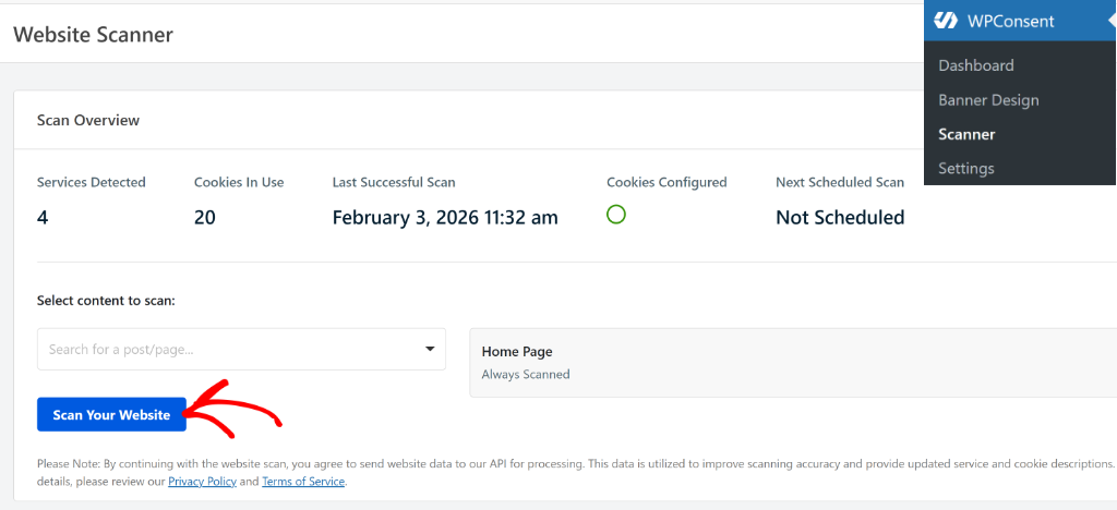 Run the scanner in WPConsent