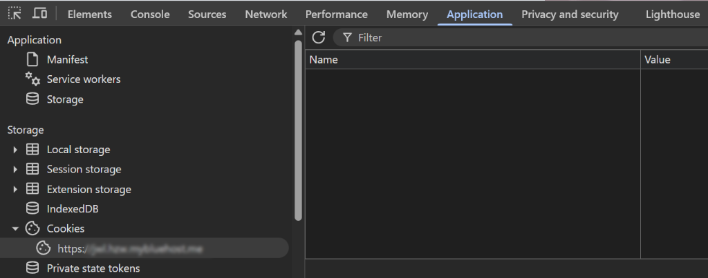 View empty application section for Google Ads cookies