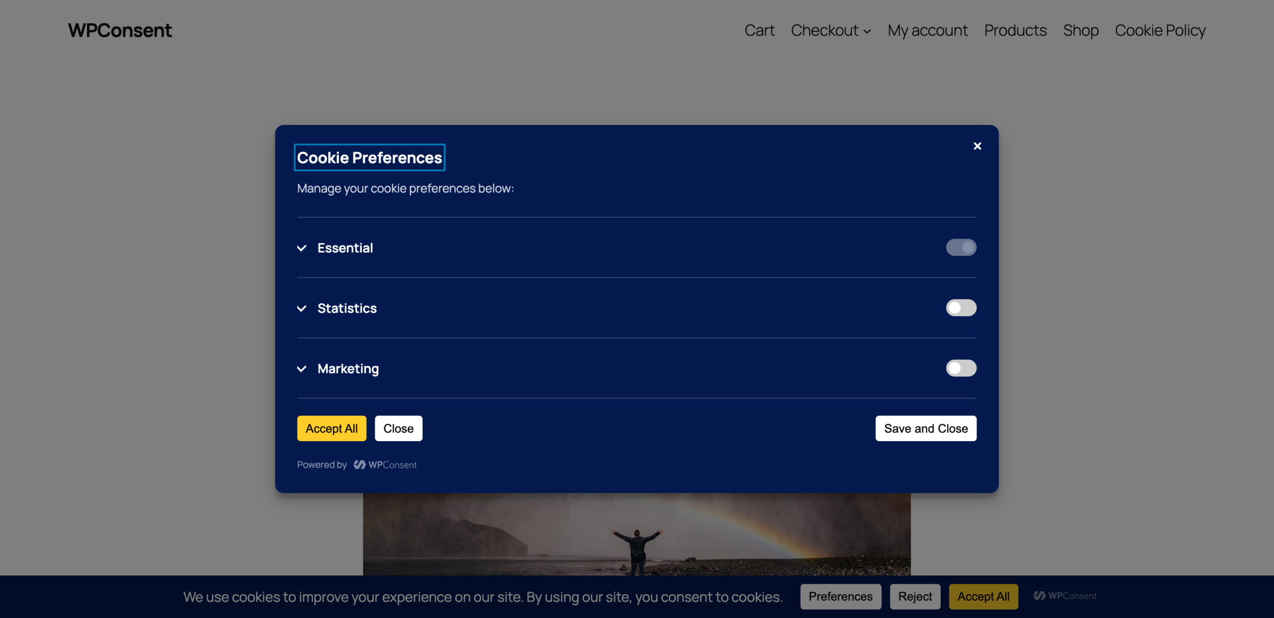 Cookie categories displayed as an accordion in the preferences panel
