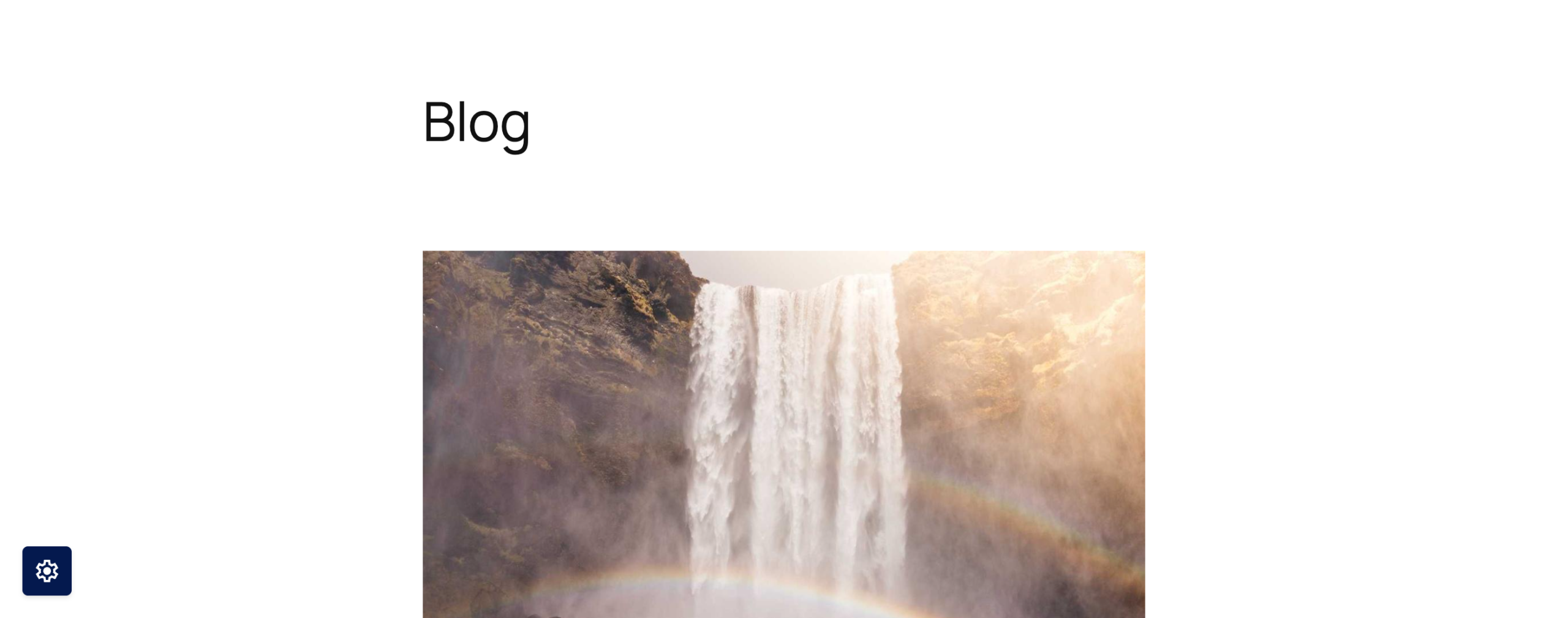 The floating consent button visible on the frontend