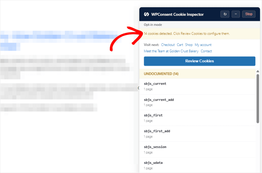 WPConsent cookie inspector after accepting banner