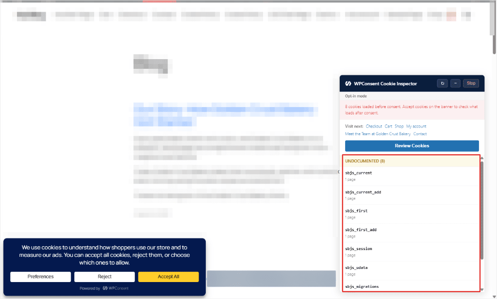 WPConsent cookie inspector panel homepage