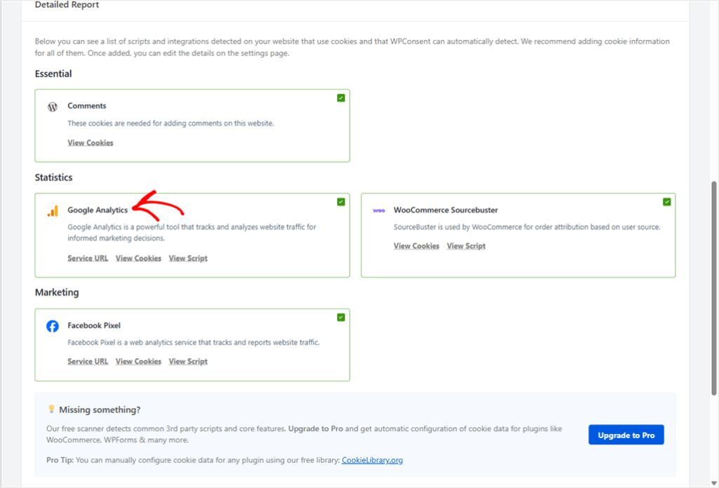 WPConsent scanner detailed report services