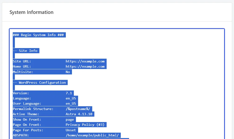 The System Information panel with every line of the report highlighted in blue after a select-all